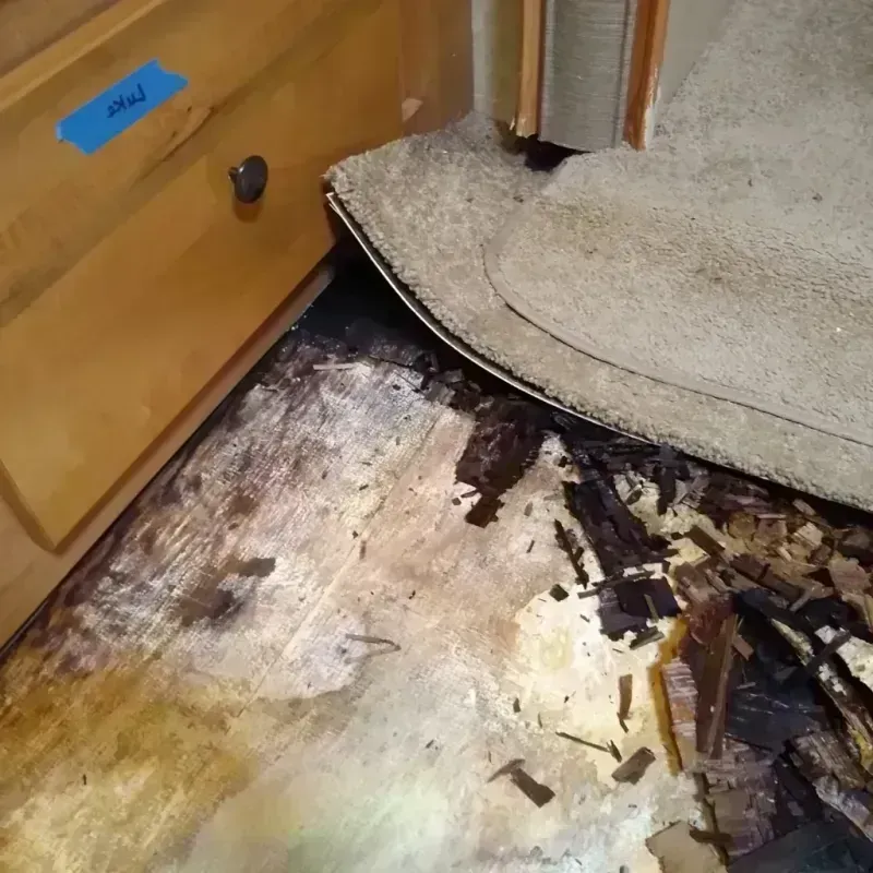 Wood Floor Water Damage in Tolleson, AZ